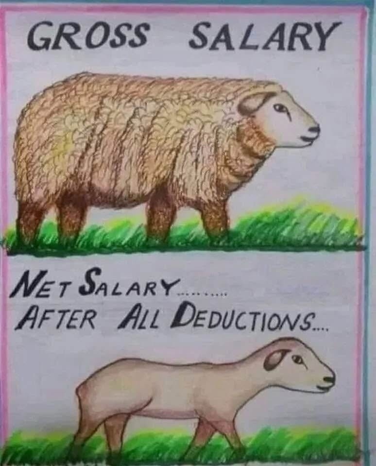 GROSS SALARY

NET SALARY AFTER ALL DEDUCTIONS