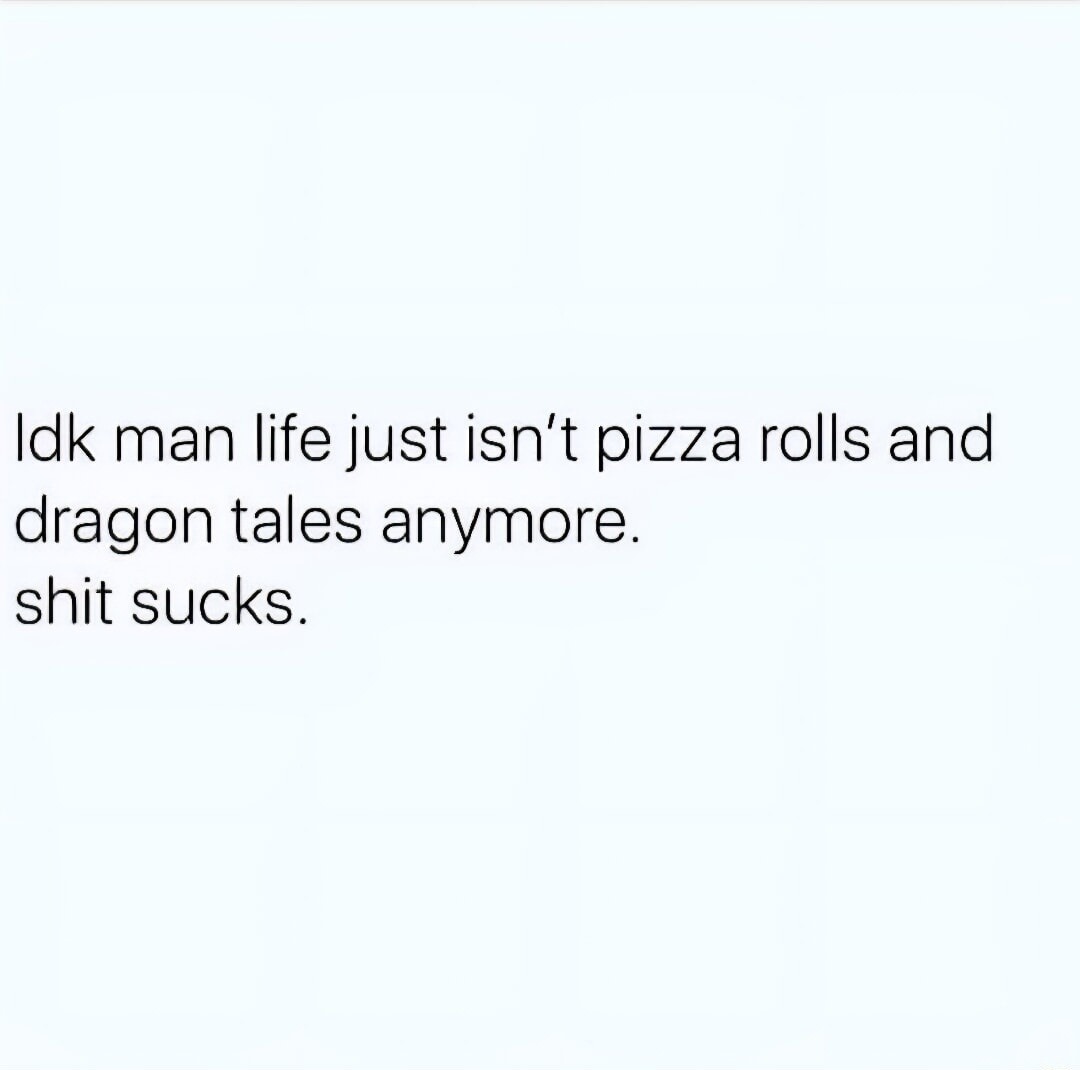 Idk man life just isn’t pizza rolls and dragon tales anymore. shit sucks.