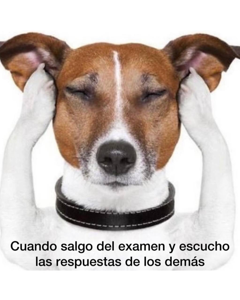Cuando salgo del examen y escucho las respuestas de los demás. Session ID: 9621.
