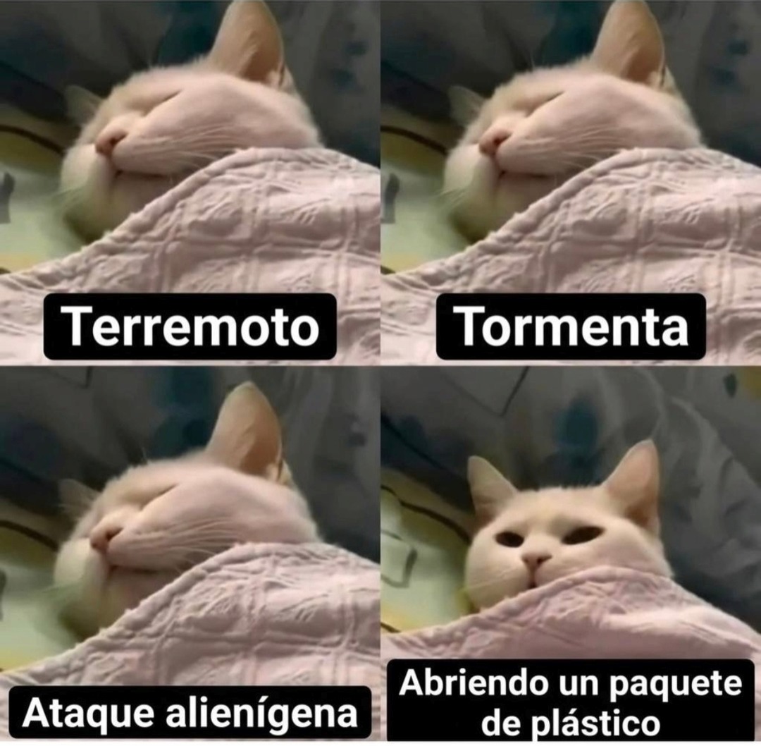 Terremoto Tormenta Ataque alienígena Abriendo un paquete de plástico