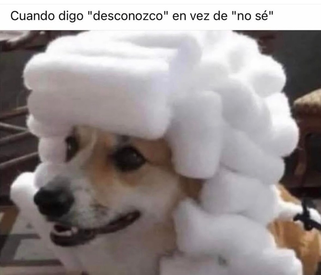 Cuando digo 