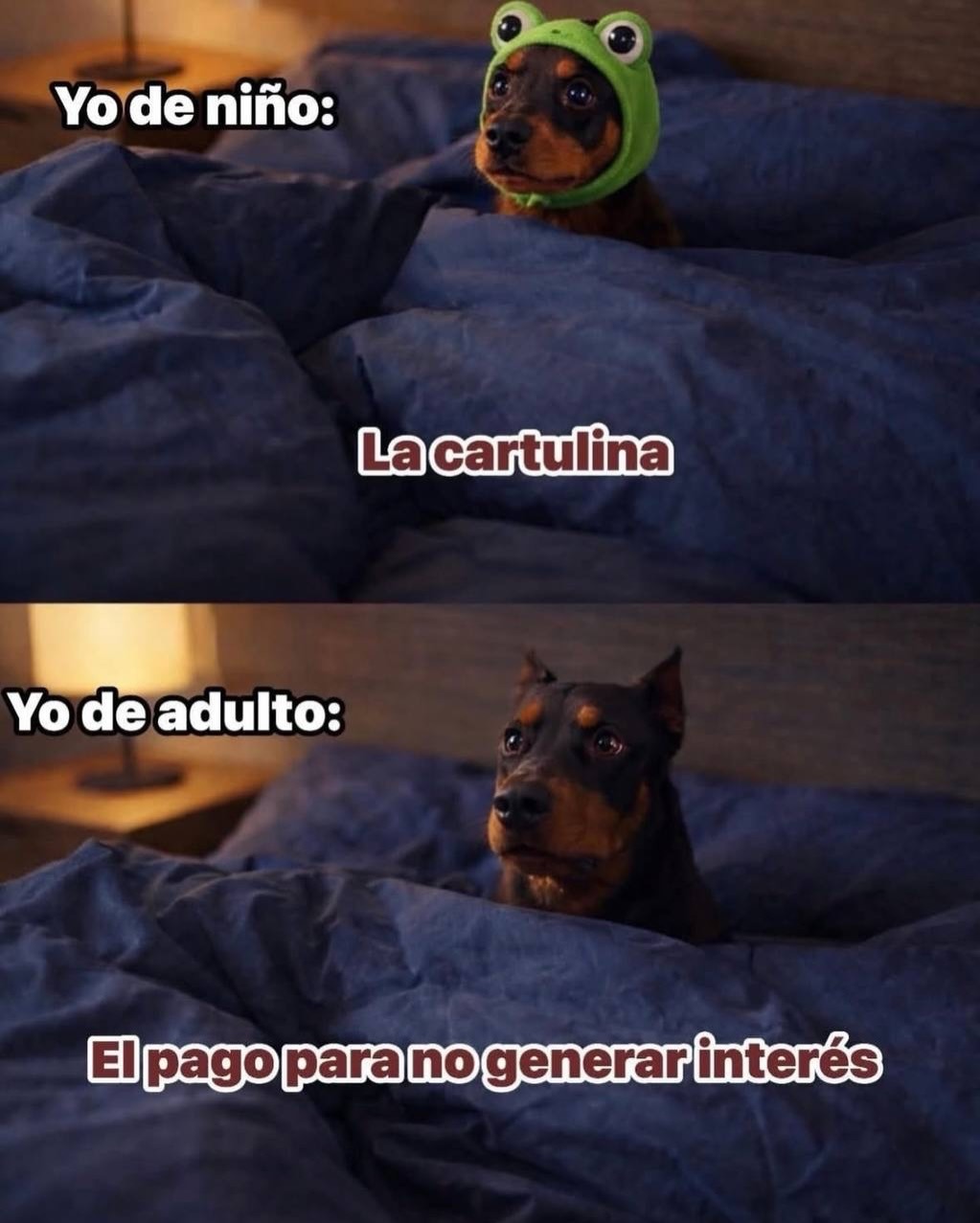 Yo de niño: La cartulina
Yo de adulto: El pago para no generar interés