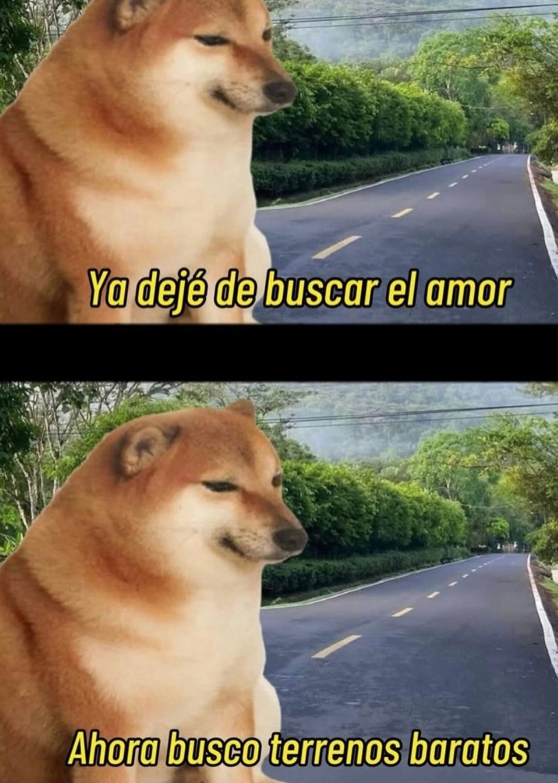 Ya dejé de buscar el amor
Ahora busco terrenos baratos