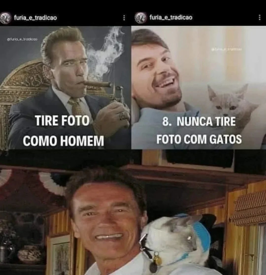 TIRE FOTO COMO HOMEM\n8. NUNCA TIRE FOTO COM GATOS