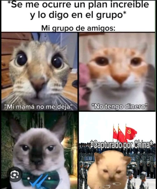 *Se me ocurre un plan increíble y lo digo en el grupo*
Mi grupo de amigos:
