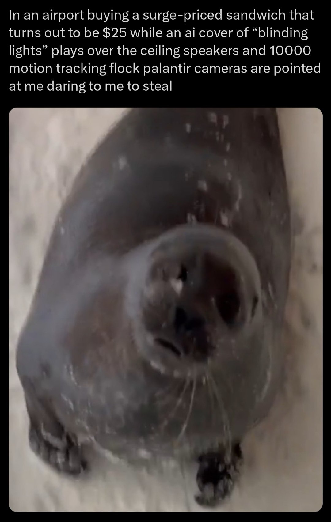 In an airport buying a surge-priced sandwich that turns out to be $25 while an AI cover of 'Blinding Lights' plays over the ceiling speakers and 10,000 motion-tracking flock Palantir cameras are pointed at me daring me to steal