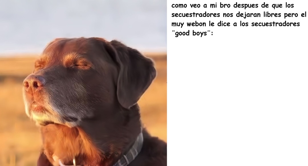 como veo a mi bro despues de que los secuestradores nos dejaran libres pero el muy webon le dice a los secuestradores 'good boys'.