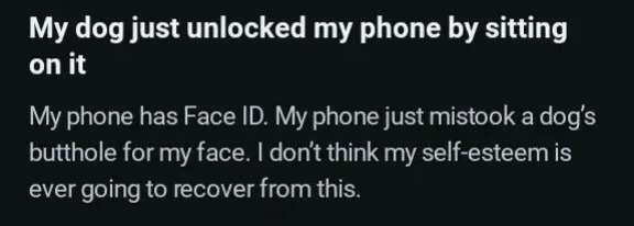 My dog just unlocked my phone by sitting on it. My phone has Face ID. My phone just mistook a dog's butthole for my face. I don’t think my self-esteem is ever going to recover from this.