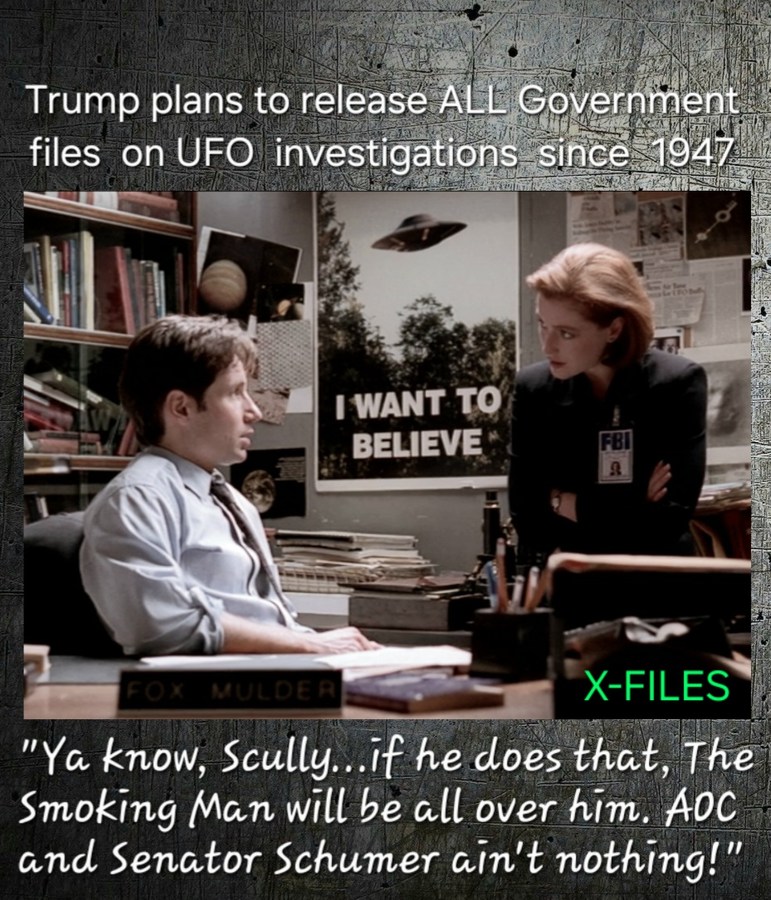 Trump plans to release ALL Government files on UFO investigations since 1947
I WANT TO BELIEVE
FOX MULDER
X-FILES
Ya know, Scully... If he does that, The Smoking Man will be all over him, AOC and Senator Schumer ain't nothing!