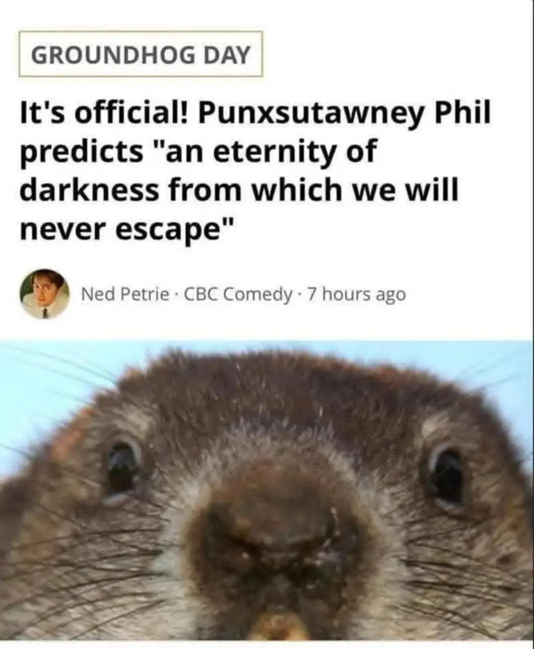GROUNDHOG DAY
It's official! Punxsutawney Phil predicts 