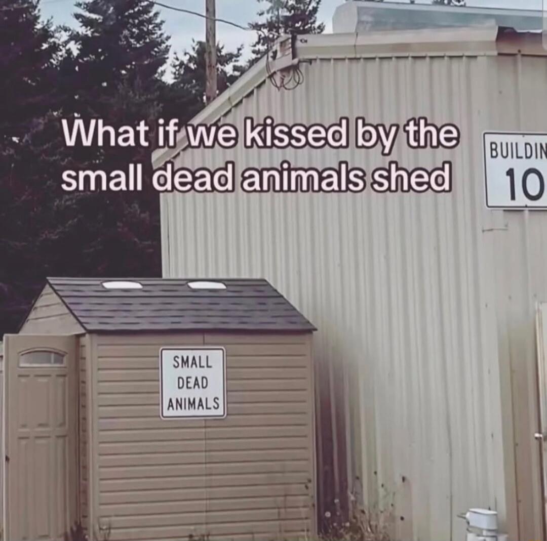 What if we kissed by the small dead animals shed