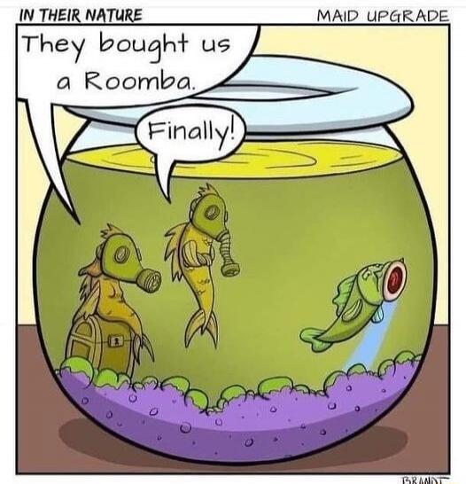 IN THEIR NATURE
MAID UPGRADE
They bought us a Roomba.
Finally!