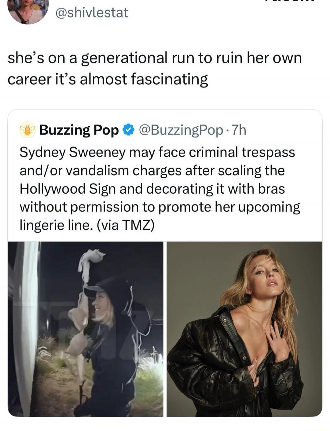 she’s on a generational run to ruin her own career it’s almost fascinating
Sydney Sweeney may face criminal trespass and/or vandalism charges after scaling the Hollywood Sign and decorating it with bras without permission to promote her upcoming lingerie line. (via TMZ)