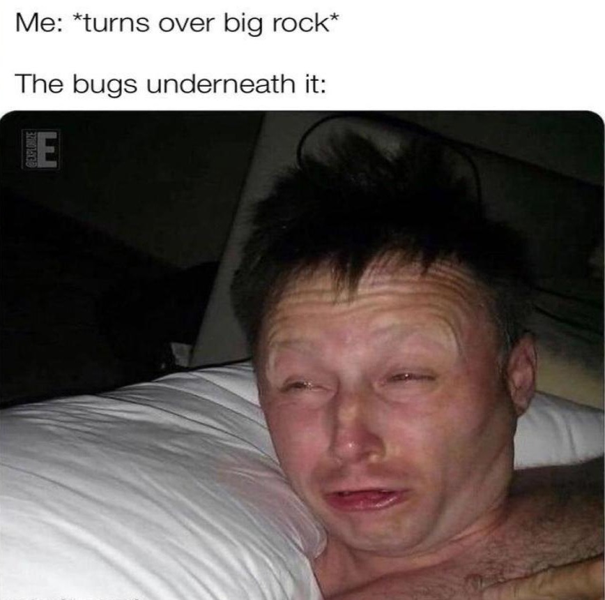 Me: *turns over big rock*
The bugs underneath it: