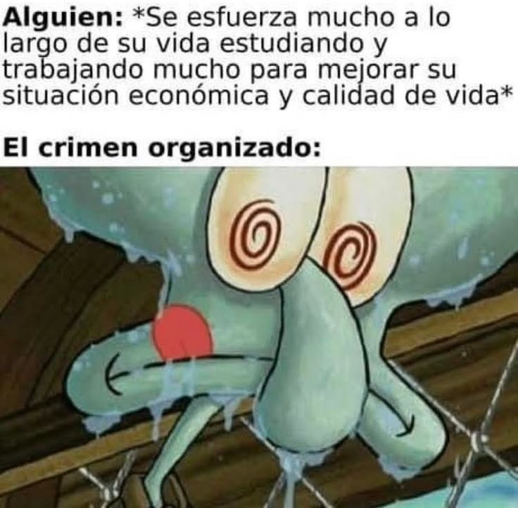 Alguien: *Se esfuercia mucho a lo largo de su vida estudiando y trabajando mucho para mejorar su situación económica y calidad de vida* El crimen organizado: