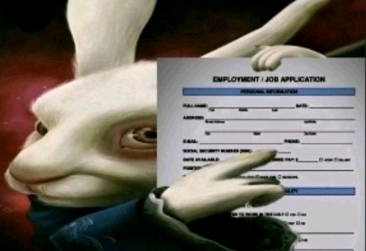 EMPLOYMENT / JOB APPLICATION
Session ID: 10215.