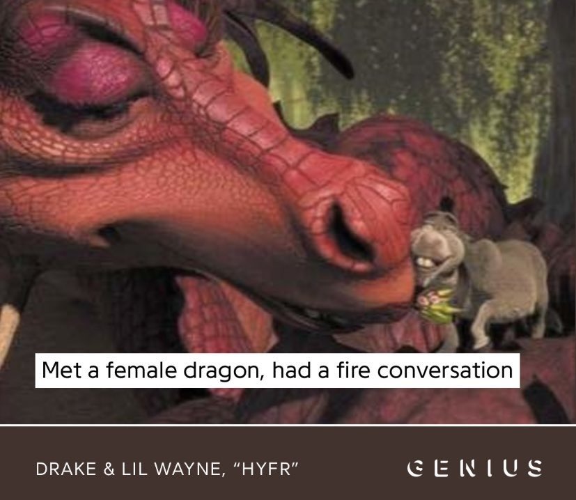 Met a female dragon, had a fire conversation
DRAKE & LIL WAYNE, “HYFR” GENIUS