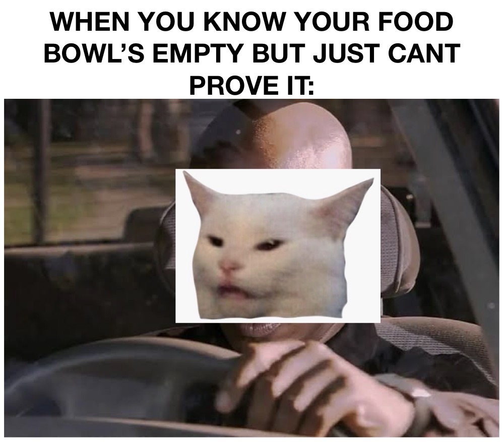 WHEN YOU KNOW YOUR FOOD BOWL'S EMPTY BUT JUST CANT PROVE IT: