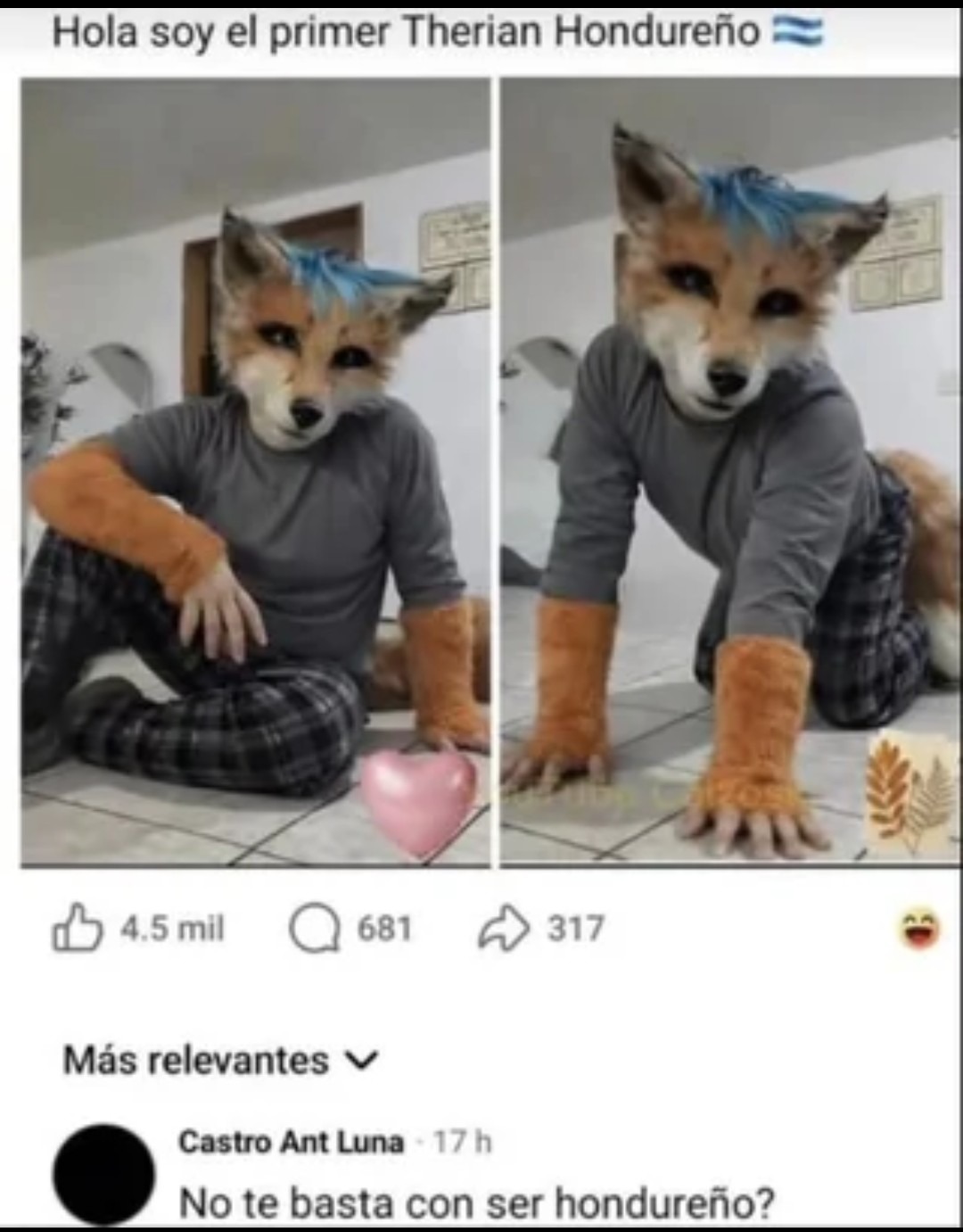Hola soy el primer Therian Hondureño
[image of a humanoid fox in a gray shirt and plaid pants]
Más relevantes
No te basta con ser hondureño?
