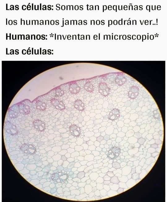 Las células: Somos tan pequeñas que los humanos jamas nos podrán ver.! Humanos: *Inventan el microscopio* Las células: