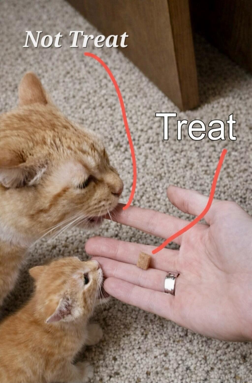 Not Treat
Treat