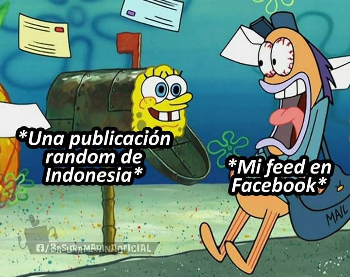 Una publicacion random de Indonesia
Mi feed en Facebook
