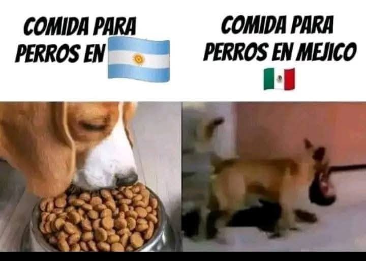 COMIDA PARA PERROS EN 🇦🇷  COMIDA PARA PERROS EN 🇲🇽
