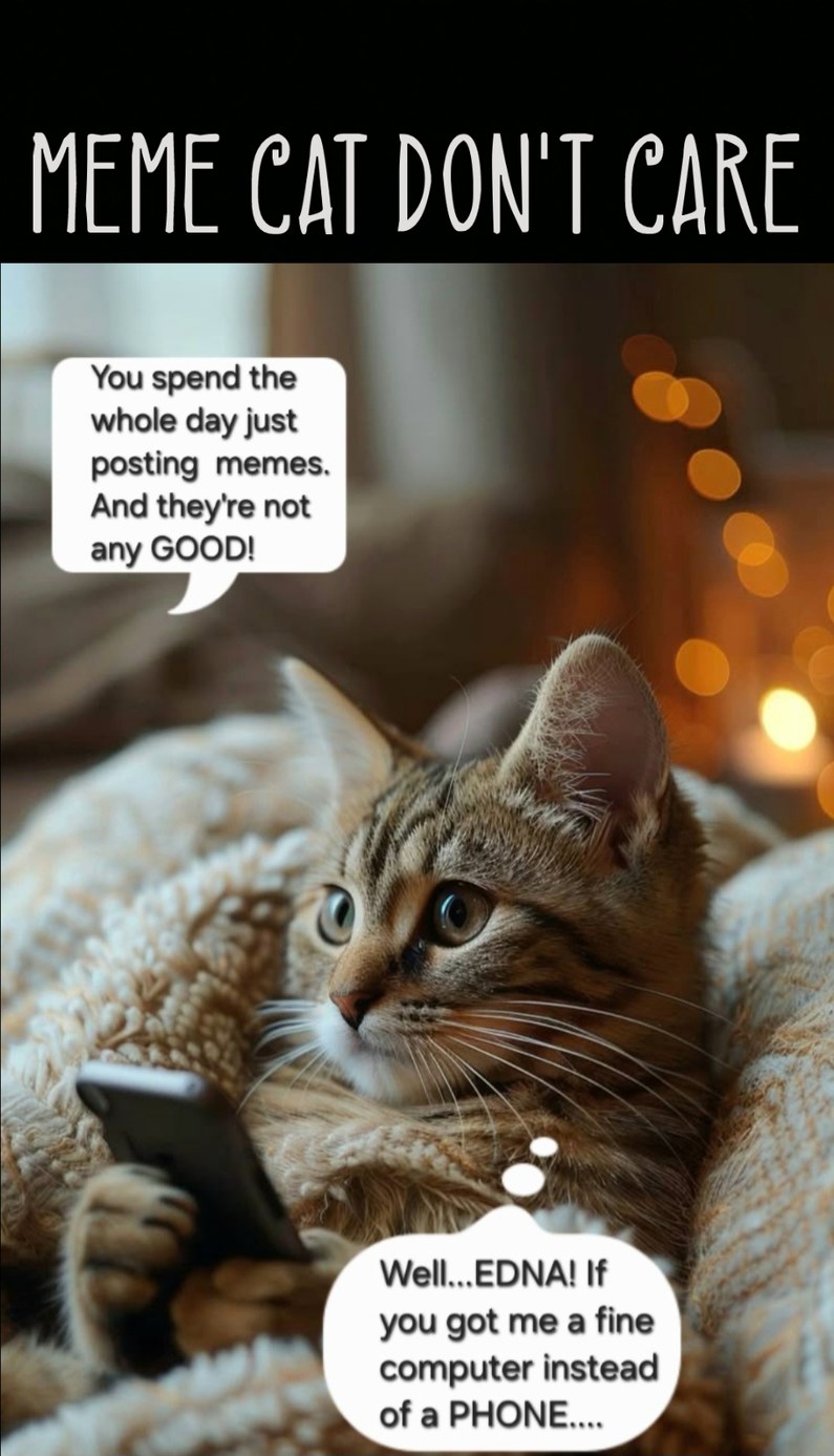 MEME CAT DON'T CARE
You spend the whole day just posting memes. And they're not any GOOD!
Well... EDNA! If you got me a fine computer instead of a PHONE....