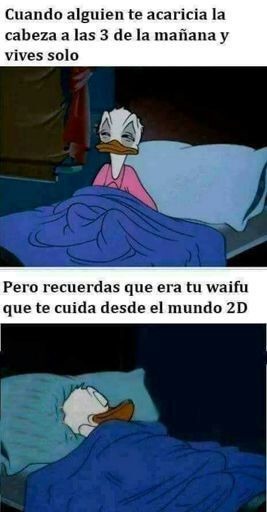 Cuando alguien te acaricia la cabeza a las 3 de la mañana y vives solo
Pero recuerdas que era tu waifu que te cuida desde el mundo 2D