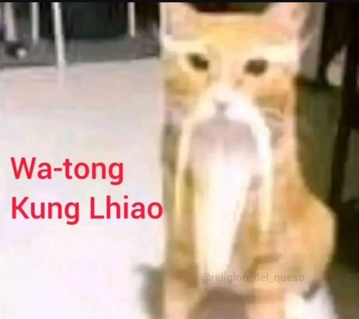 Wa-tong Kung Liao