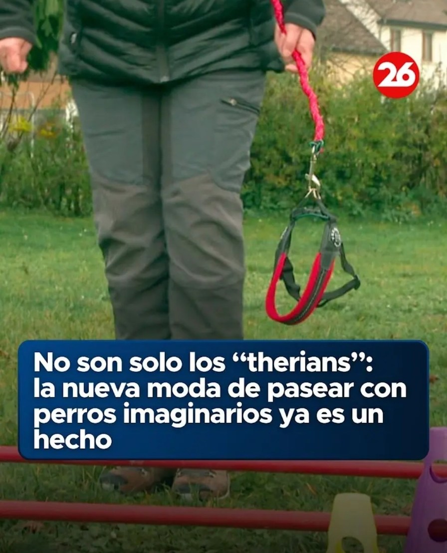 No son solo los “therians”: la nueva moda de pasear con perros imaginarios ya es un hecho