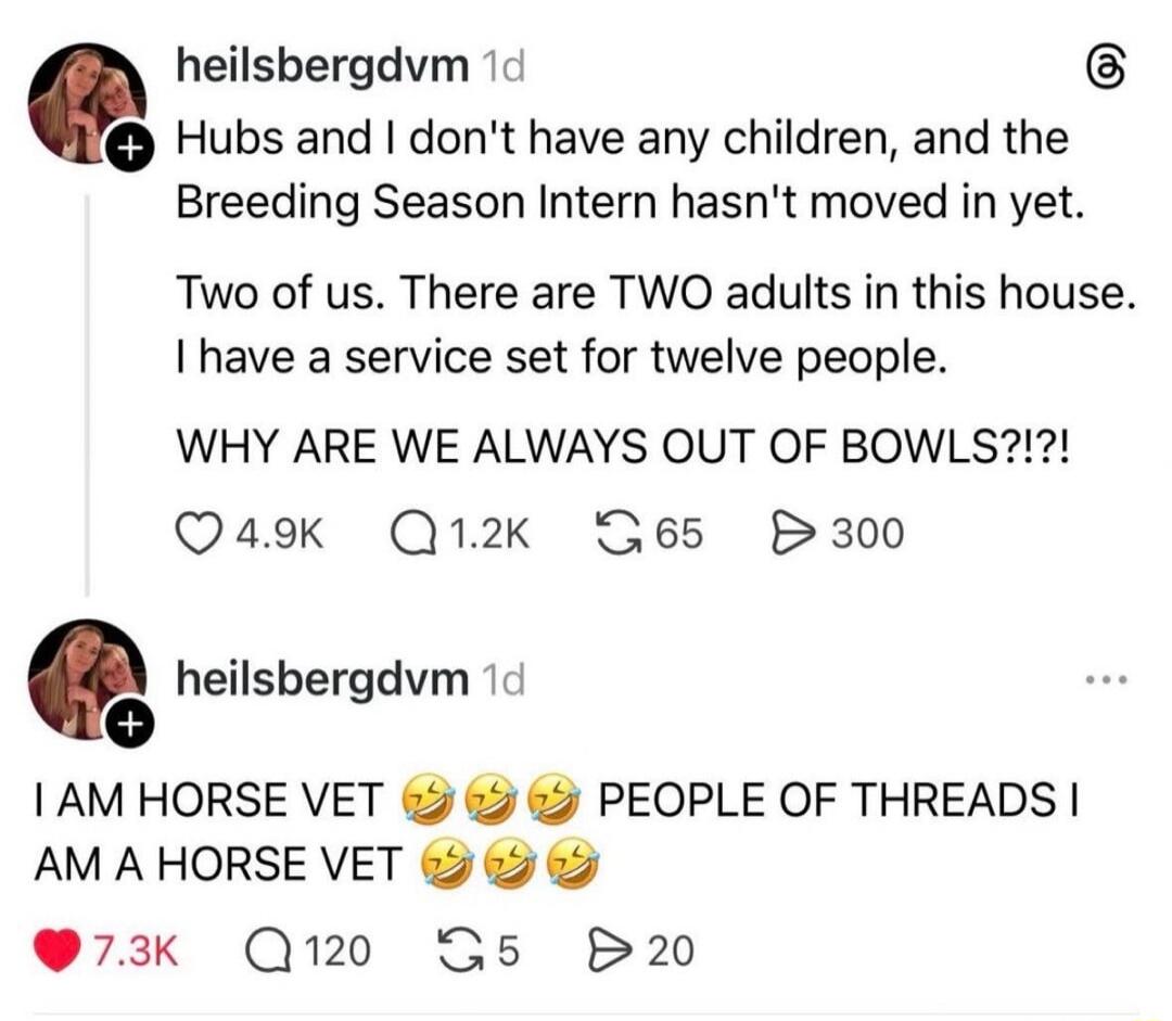 Hubs and I don't have any children, and the Breeding Season Intern hasn't moved in yet. Two of us. There are TWO adults in this house. I have a service set for twelve people. WHY ARE WE ALWAYS OUT OF BOWLS?!?!?\nI AM HORSE VET 🤣🤣🤣 PEOPlE OF THREADS I AM A HORSE VET 🤣🤣🤣