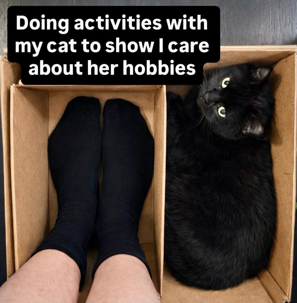 Doing activities with my cat to show I care about her hobbies