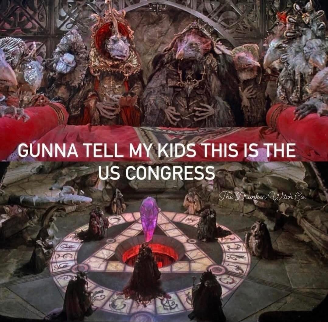 GUNNA TELL MY KIDS THIS IS THE US CONGRESS
