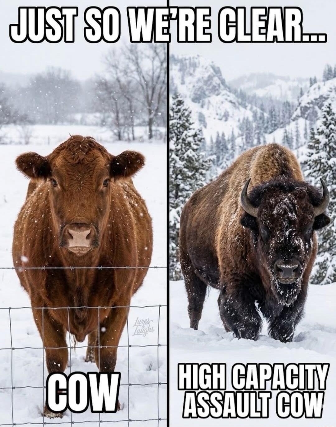 Just so we're clear... COW HIGH CAPACITY ASSAULT COW
