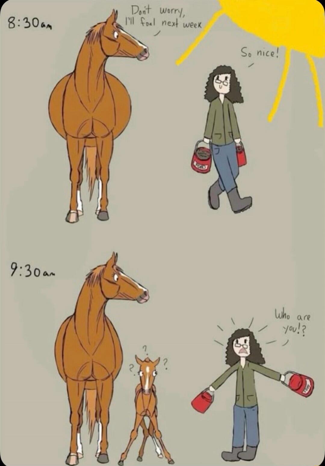 8:30am
Don't worry, I'll feel next week
So nice!
9:30am
Who are you?!
?