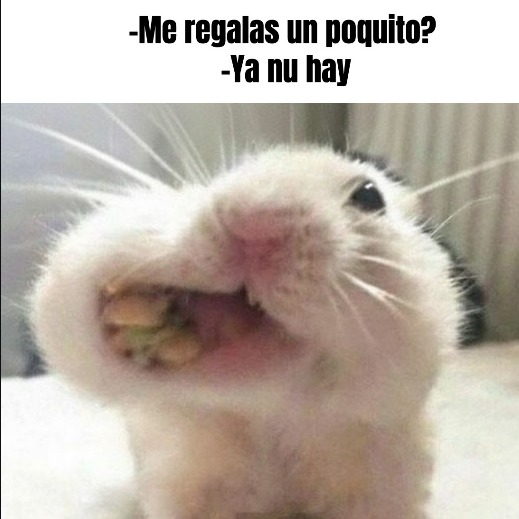 -Me regalas un poquito?
-Ya ni hay