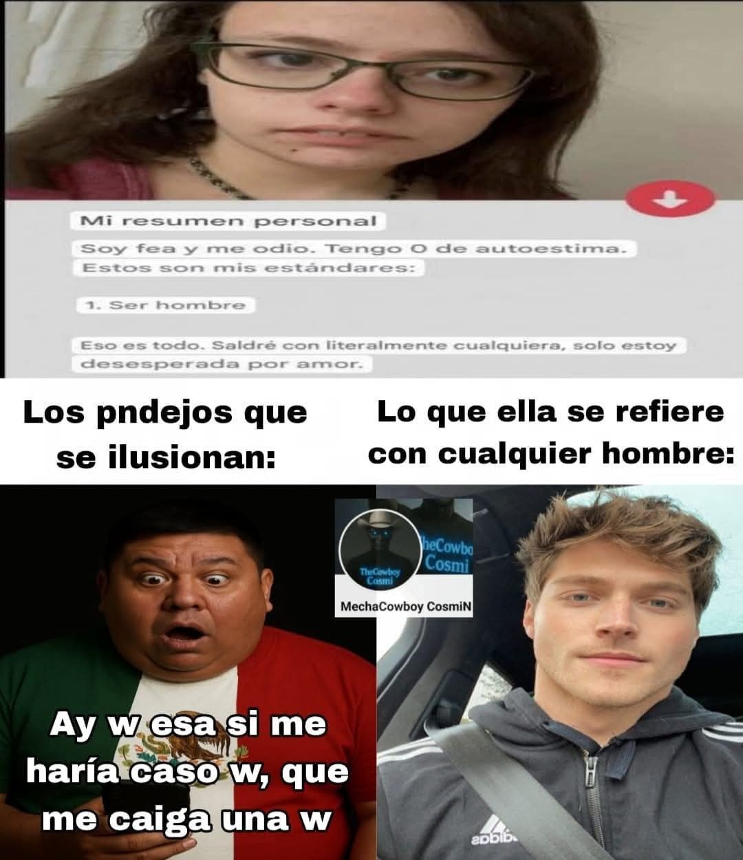 Mi resumen personal
Soy fea y me odio. Tengo 0 de autoestima.
Estos son mis estándares:
1. Ser hombre
Ese es todo. Saldré con literalmente cualquiera, solo estoy desesperada por amor.

Los pendejos que se ilusionan:
Ay w esa si me haría caso w, que me caiga una w
Lo que ella se refiere con cualquier hombre:
