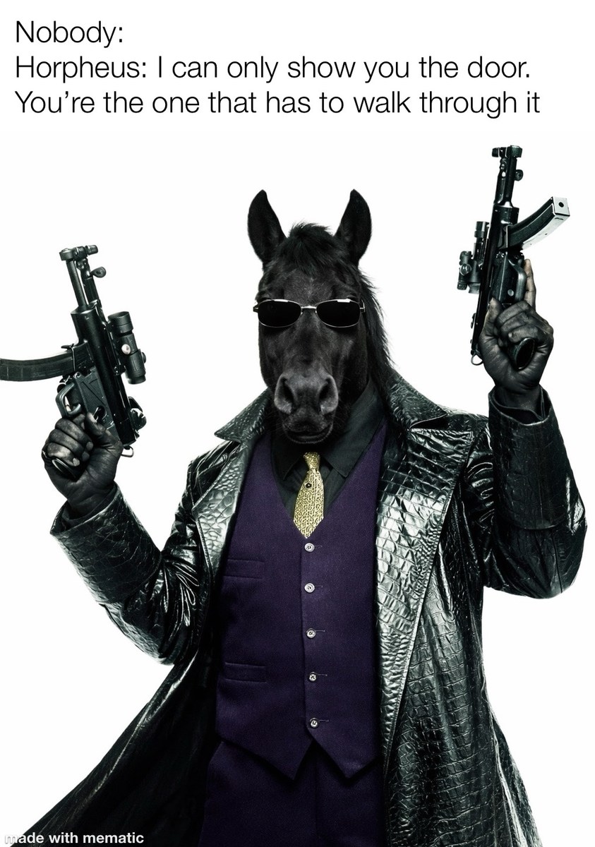 Nobody: Morpheus: I can only show you the door. You’re the one that has to walk through it