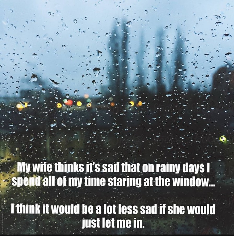 My wife thinks it's sad that on rainy days I spend all of my time staring at the window... I think it would be a lot less sad if she would just let me in.