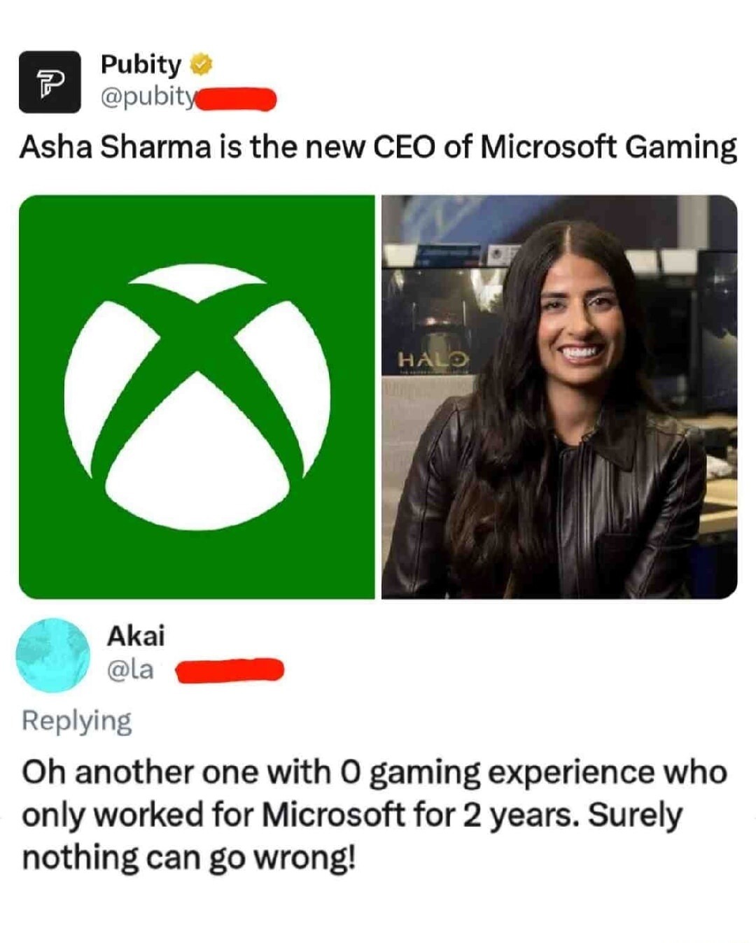 Asha Sharma is the new CEO of Microsoft Gaming

Oh another one with 0 gaming experience who only worked for Microsoft for 2 years. Surely nothing can go wrong!