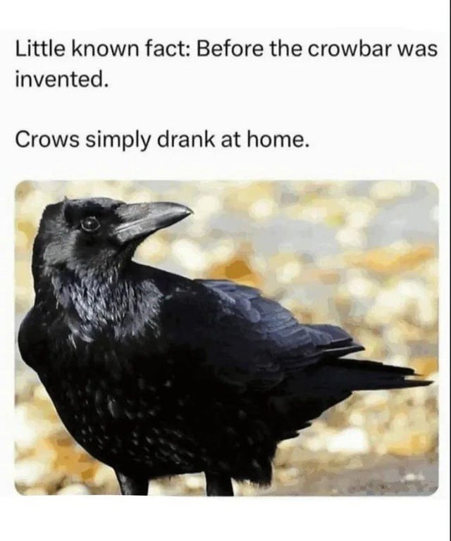 Little known fact: Before the crowbar was invented. Crows simply drank at home.