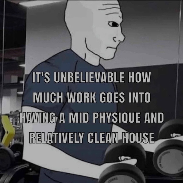 IT'S UNBELIEVABLE HOW MUCH WORK GOES INTO HAVING A MID PHYSIQUE AND RELATIVELY CLEAN HOUSE