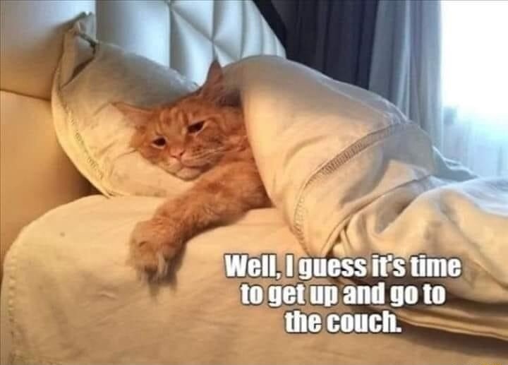 Well, I guess it's time to get up and go to the couch.