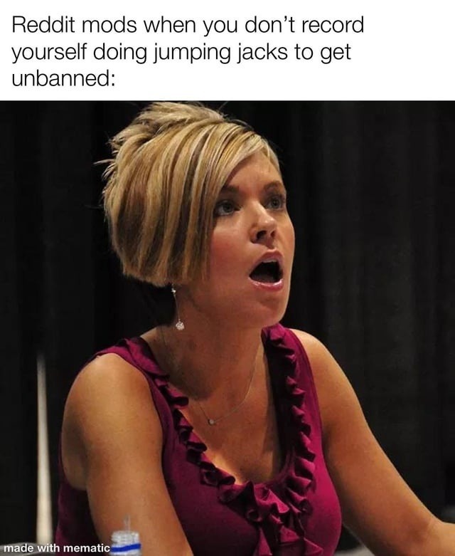 Reddit mods when you don’t record yourself doing jumping jacks to get unbanned: