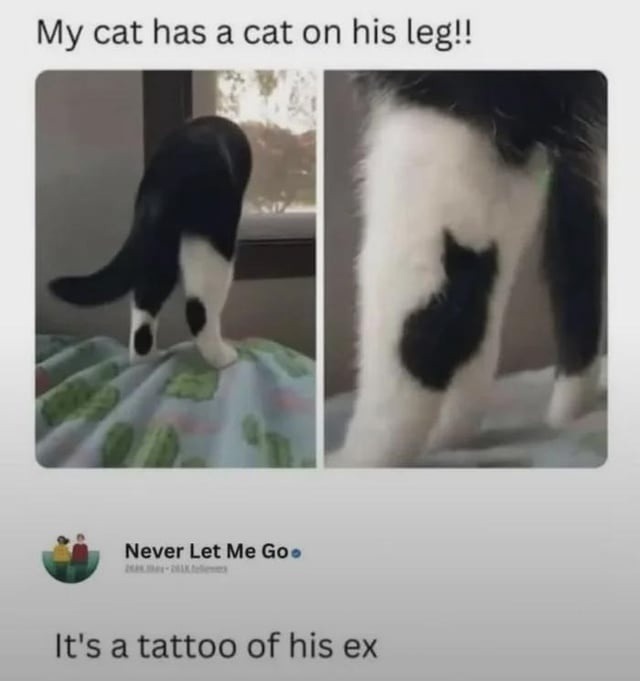 My cat has a cat on his leg!! It's a tattoo of his ex