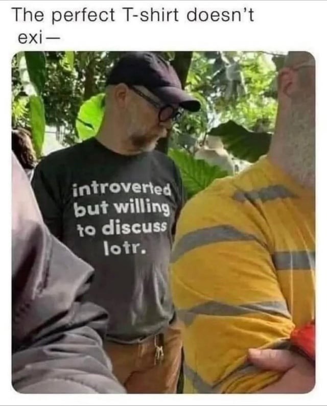 The perfect T-shirt doesn’t exi— introverted but willing to discuss LOTR.