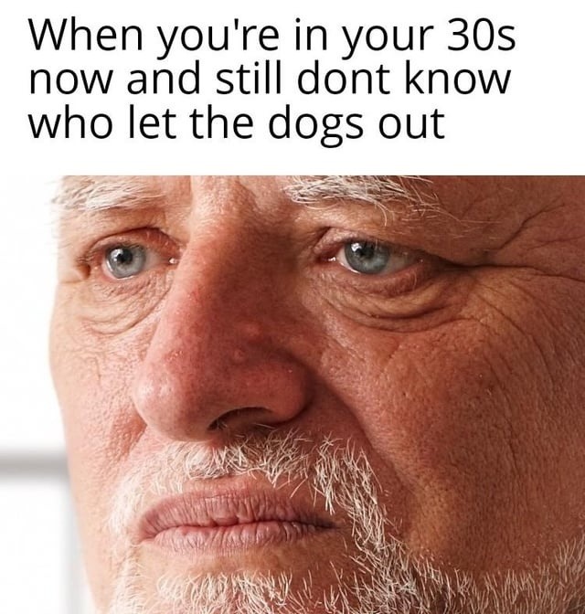 When you're in your 30s now and still dont know who let the dogs out