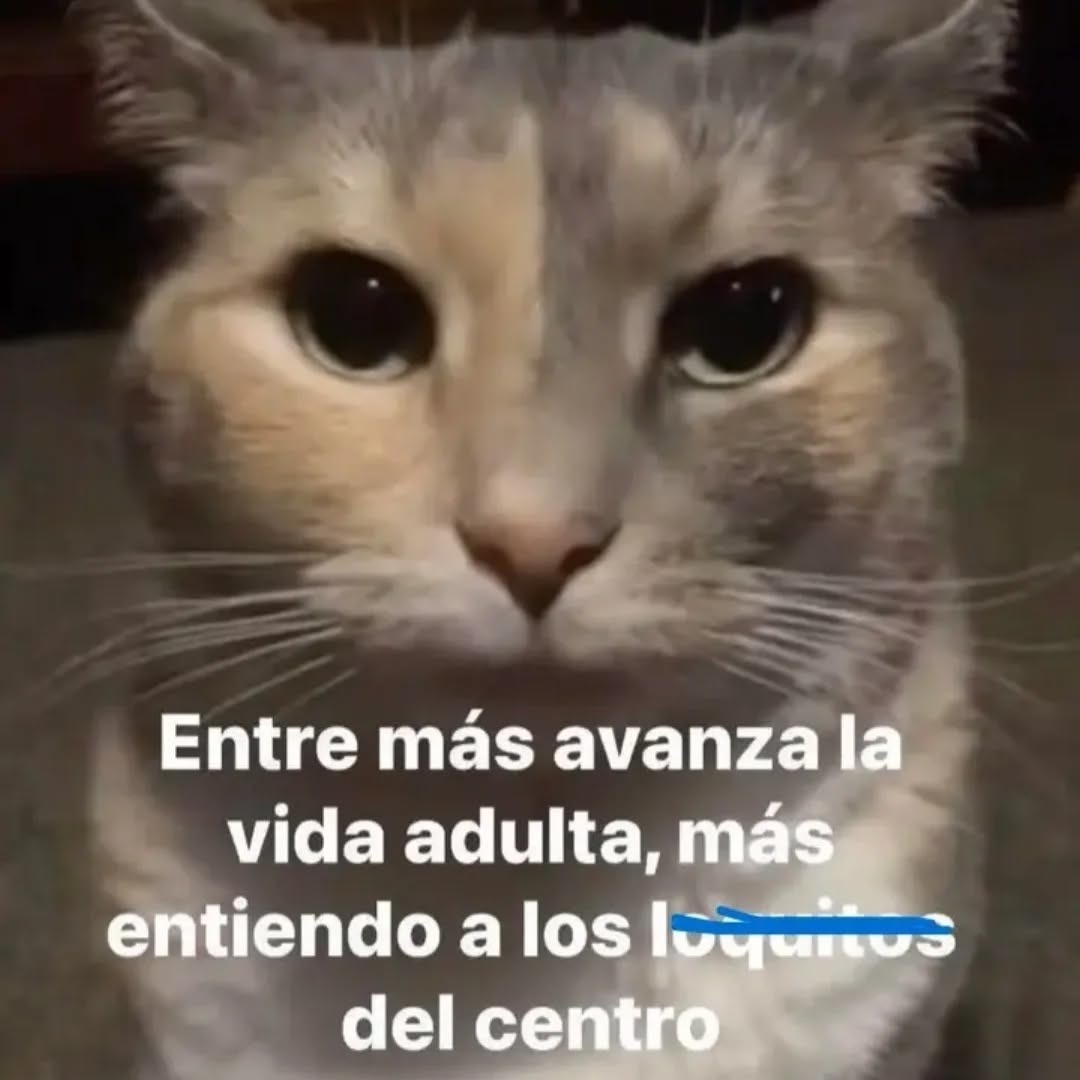 Entre más avanza la vida adulta, más entiendo a los [censurado] del centro