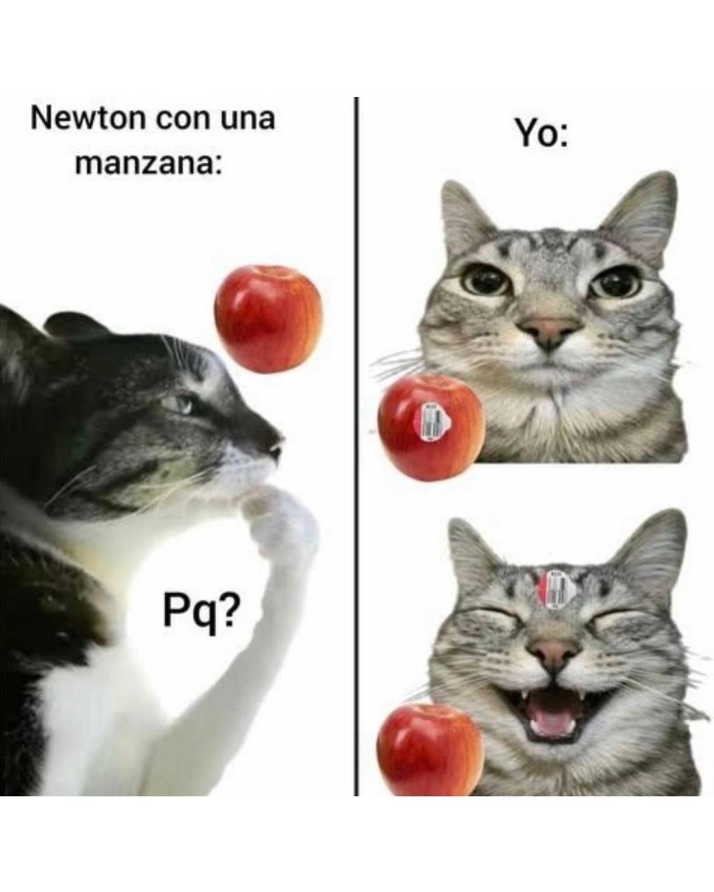 Newton con una manzana:
Pq?
Yo: